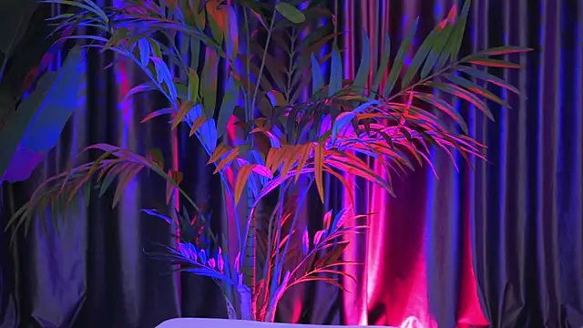 Snapshot of LaraSin chatting on 30, 12, 2024 LaraSin online show from 30, 12, 2024