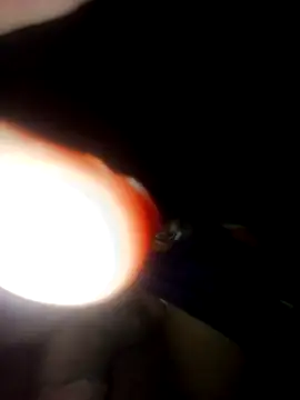 pauviciantegg online show from 15, 9, 2025