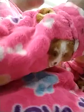 hinnatha22 online show from 5, 2, 2025