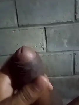 ga213333 online show from 11, 1, 2026