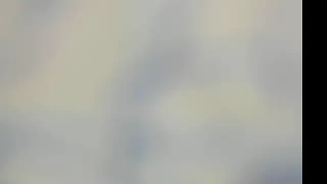 elis gabbi online show from 29, 11, 2025