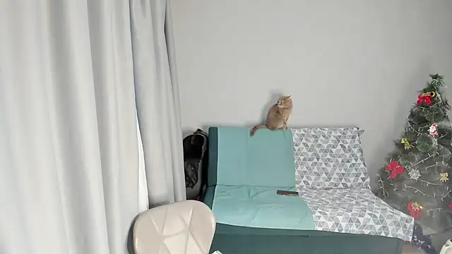 elis gabbi online show from 19, 12, 2025