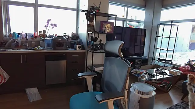 bearcloudcomputa online show from 30, 12, 2024