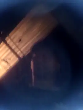 jeremiabello online show from 8, 3, 2026