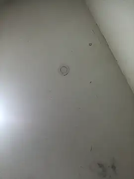 jeremiabello online show from 17, 3, 2025