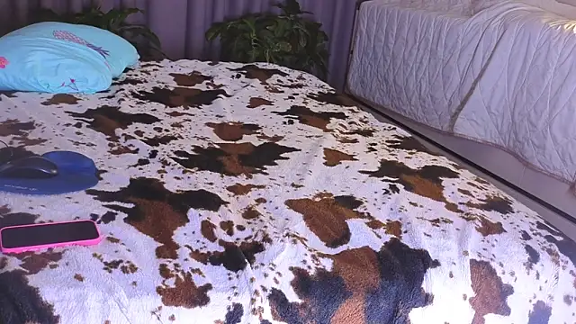 missnew2 online show from 4, 11, 2025