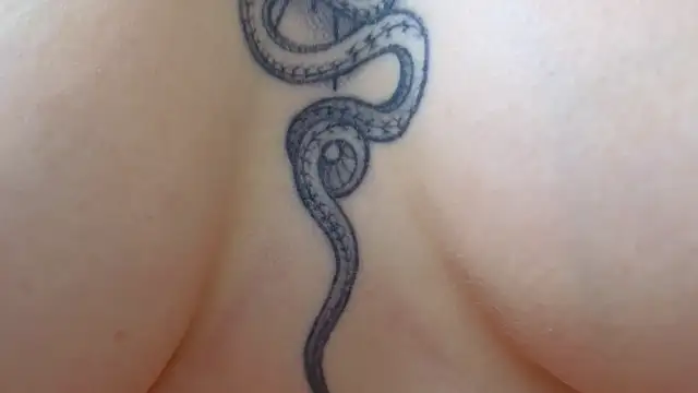 Your Auggie online show from 12, 3, 2025