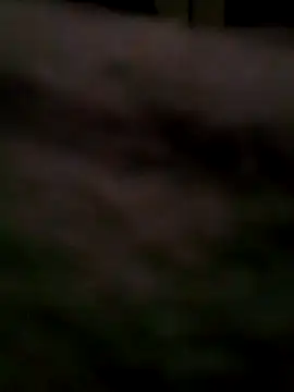 Snapshot of BIGBLACKCOOCK24- chatting on 2, 3, 2025 BIGBLACKCOOCK24- online show from 2, 3, 2025