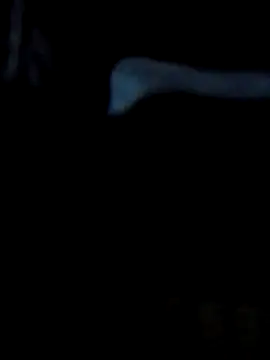 Antor1234 online show from 23, 2, 2025