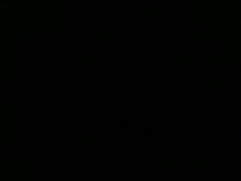 culalimer online show from 15, 11, 2025