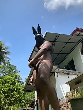 DragonLover 93 online show from 28, 10, 2025