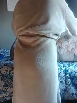 SWEETCLITYxxx online show from 9, 7, 2026