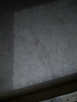 Leocesar37 online show from 11, 3, 2026