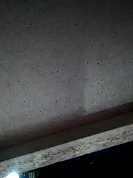 Leocesar37 online show from 15, 11, 2025