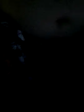 Leocesar37 online show from 19, 12, 2025