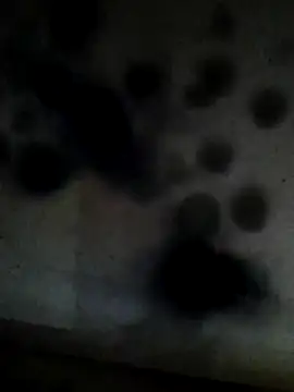 Leocesar37 online show from 10, 2, 2026