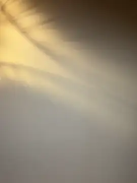 lola tentatiion online show from 17, 2, 2026