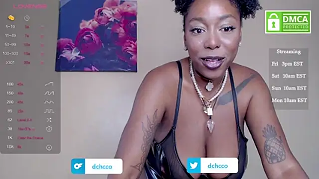 dchcco online show from 8, 11, 2025