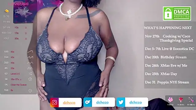 dchcco online show from 11, 11, 2025