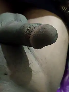 pusssyhub online show from 2, 12, 2025