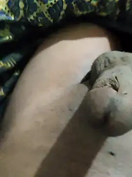 pusssyhub online show from 25, 11, 2025