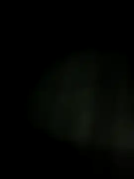 pusssyhub online show from 23, 11, 2025