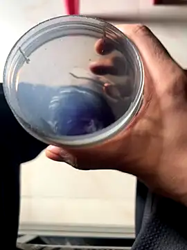 Privateseducer online show from 25, 9, 2025