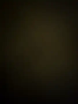 dosynophia2 online show from 17, 12, 2025