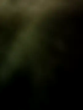 couple indian 123 online show from 20, 12, 2025