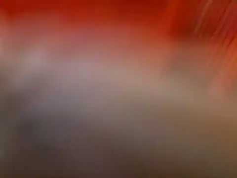 Snapshot of Lexxstacy chatting on 13, 7, 2026 Lexxstacy online show from 13, 7, 2026