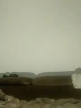 Snapshot of Freddyking146f chatting on 16, 2, 2026 Freddyking146f online show from 16, 2, 2026