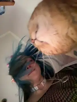 MaddisonHaas online show from 28, 10, 2025