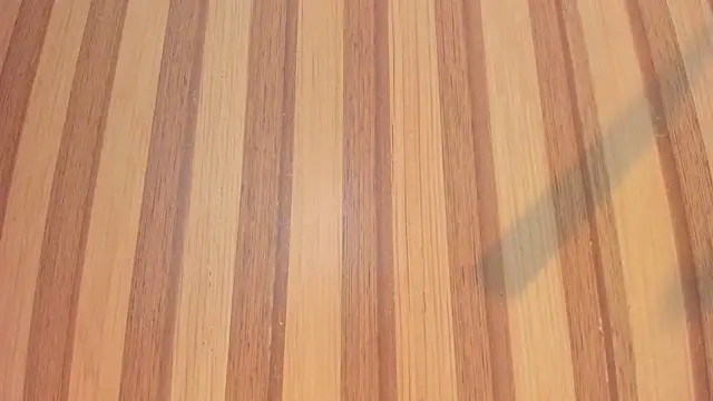 Taylor  cooper online show from 9, 2, 2026