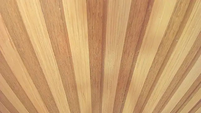 Taylor  cooper online show from 18, 3, 2026