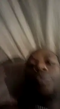 redishxxx online show from 7, 12, 2024