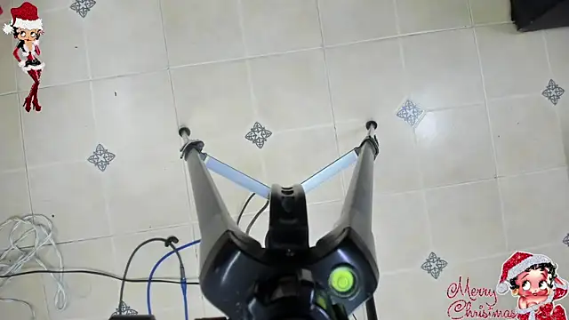 playsgirlhot online show from 8, 11, 2025