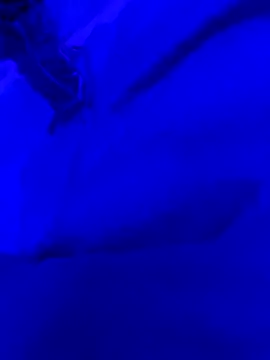 Hugo76578 online show from 10, 10, 2025