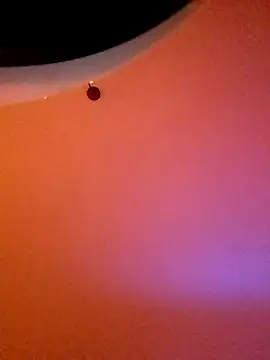 Maharajata1234 online show from 14, 12, 2024