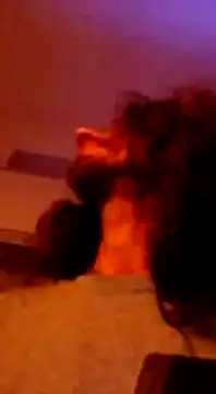 Maharajata1234 online show from 13, 12, 2024