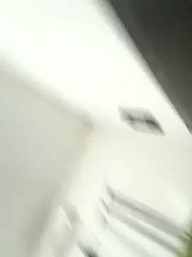 joselo8888 online show from 14, 11, 2025