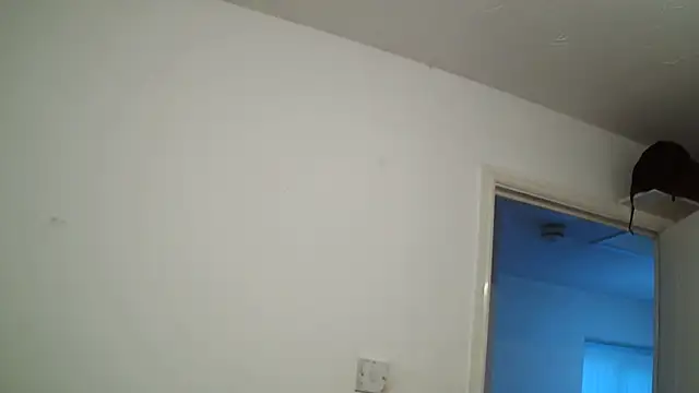 rampartzz online show from 6, 3, 2025