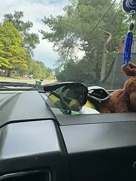 KBD85 online show from 10, 9, 2025