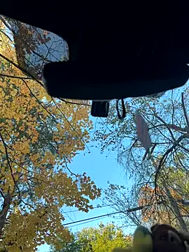 KBD85 online show from 2, 11, 2025