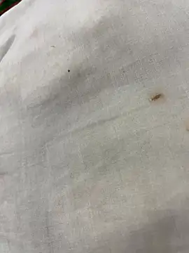 elSexi online show from 2, 12, 2025