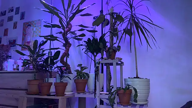 PaulaPratt online show from 13, 9, 2025