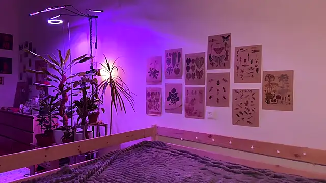 PaulaPratt online show from 4, 10, 2025