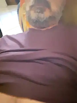 1talianBeutifulCock online show from 19, 3, 2026