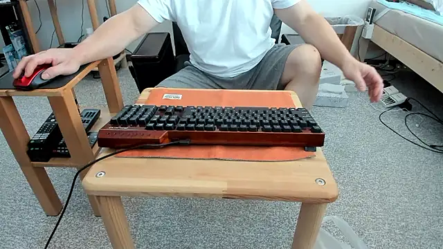 hachunemiku online show from 17, 11, 2025