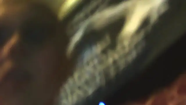 Snapshot of sexycockfiend777 chatting on 22, 11, 2025 sexycockfiend777 online show from 22, 11, 2025