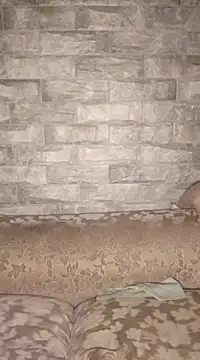 Ras and Stewf online show from 22, 2, 2025